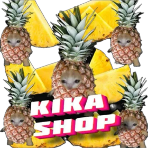 pineapple fruit ananas