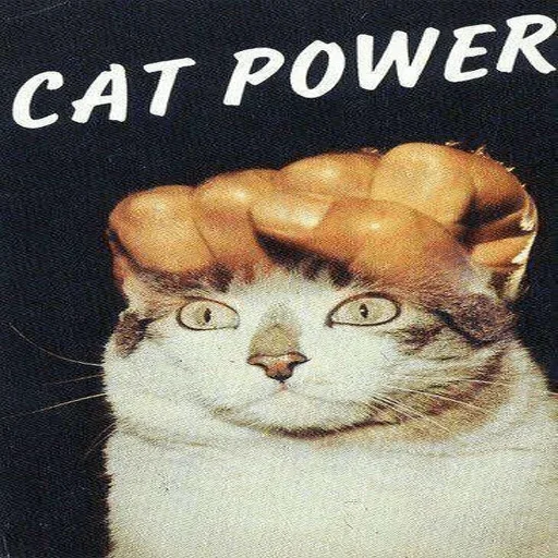 СМС млекопитающее животное