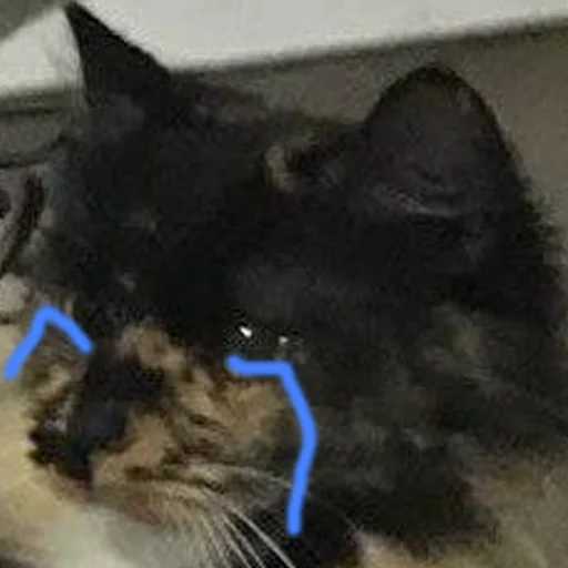 Sticker kilishynya - 1