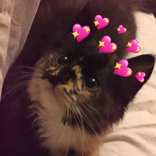 Sticker kilishynya - 1