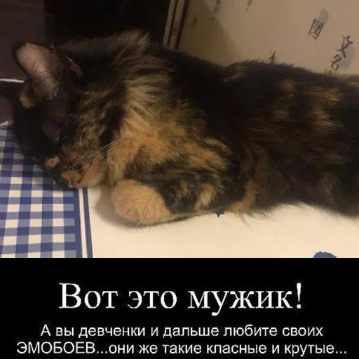 Sticker kilishynya - 1