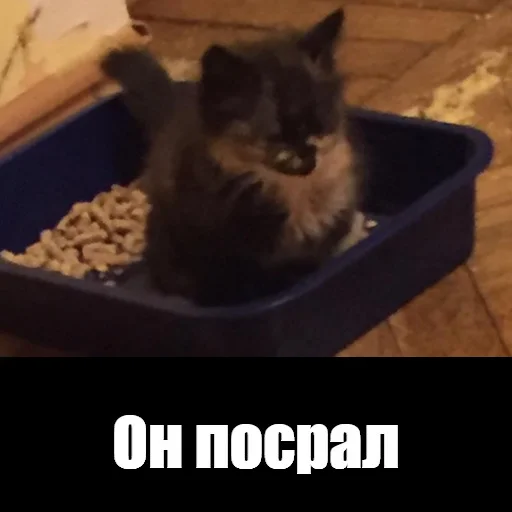 Стикер kilishynya - 1