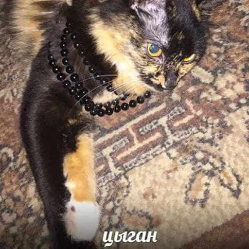 Стикер kilishynya - 1