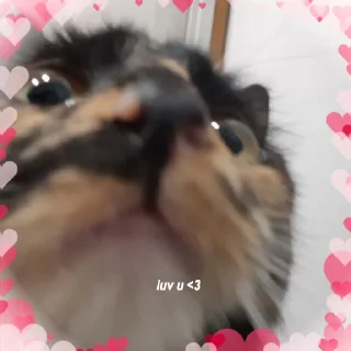 Sticker кипя - 5