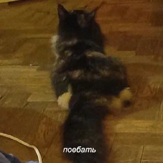 Sticker кипя - 3