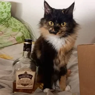 Sticker кипя - 7