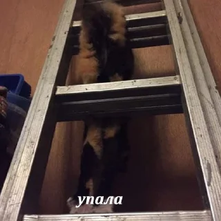 Sticker кипя - 8