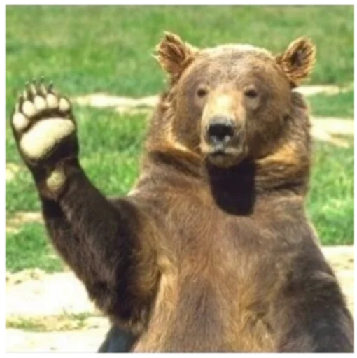 Стикер killfomo - 1