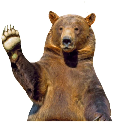 Стикер KillFOMO - 4