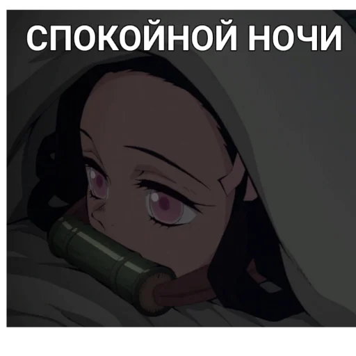 Sticker kimetsu_no_yaiba_aniflesh - 1