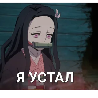 Стикер Kimetsu no yaiba_aniflesh - 5