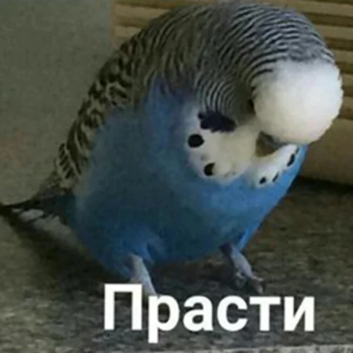 Стикер kind_kid - 1