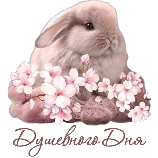 Стикер kindness_school - 1