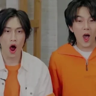 Sticker kinnporshe - 2