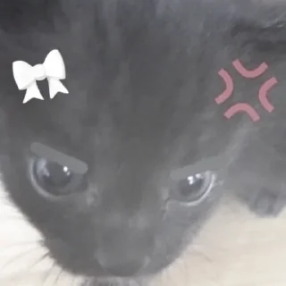 Sticker киотич4ки @miymaayww - 8