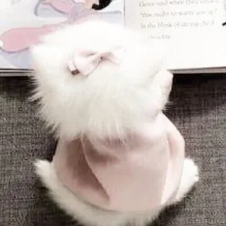 Sticker киотич4ки @miymaayww - 3