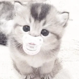 Sticker киотич4ки @miymaayww - 2