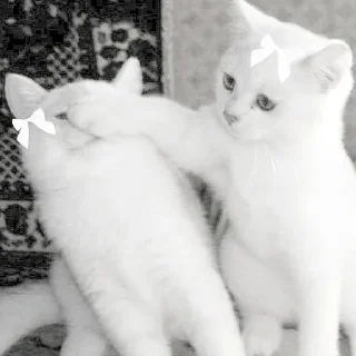 Sticker киотич4ки @miymaayww - 6