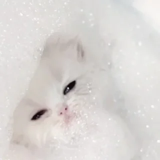 Sticker киотич4ки @miymaayww - 7