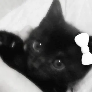 Sticker киотич4ки @miymaayww - 5