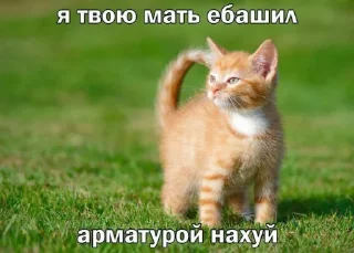 Стикер kirieshki - 7