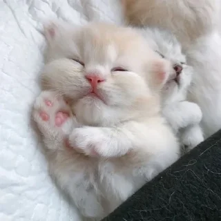 Стикер юлир - 3