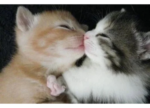 Sticker kirskayayula - 1