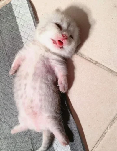 Стикер юлир - 1