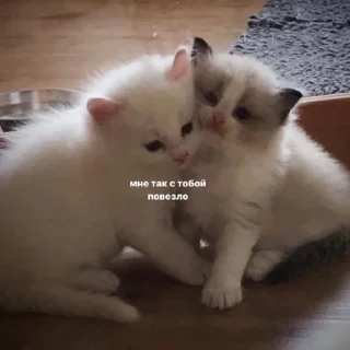 Стикер юлир - 9