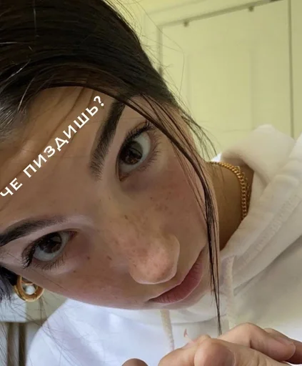 Человек человеческое лицо комнатный