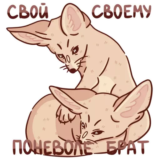 Sticker kisapessik - 1