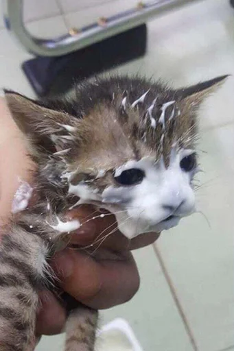 Sticker kiselsticks - 1