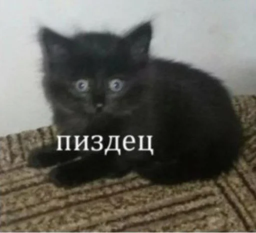 Sticker kiselsticks - 1