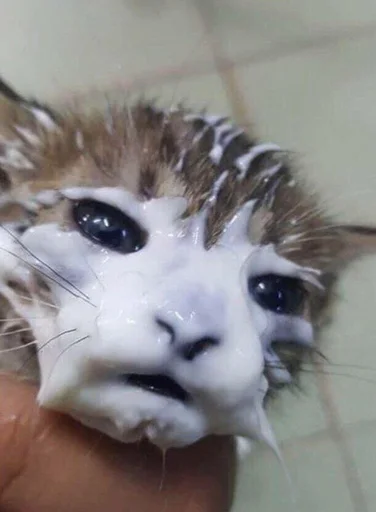 Sticker kiselsticks - 1