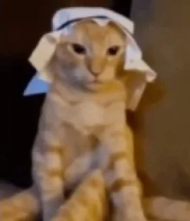 Sticker Стикеры Киселя - 0