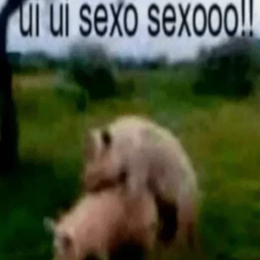 Стикер kishki666 - 1