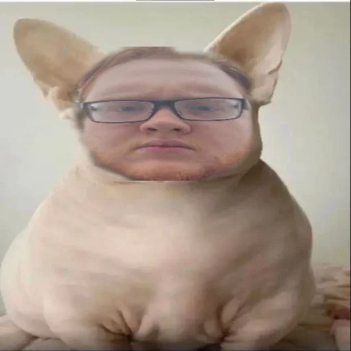 Sticker kishkigang2 - 1