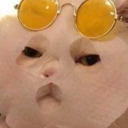 Стикер cats!! - 6