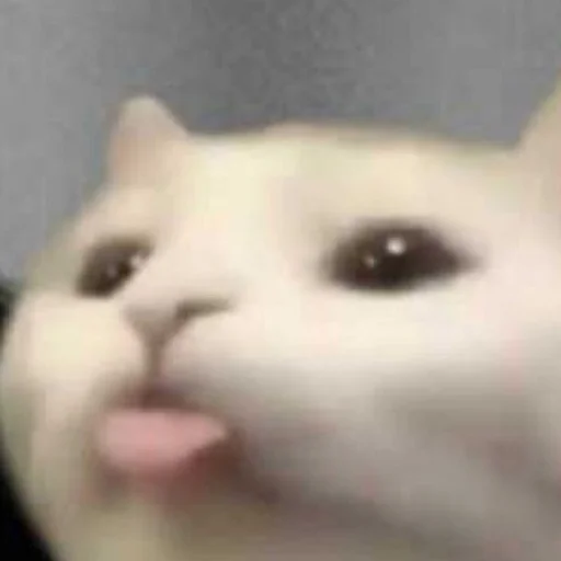 Стикер cats!! - 4