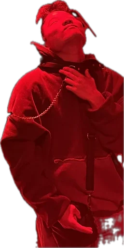 Sticker kissi_koti - 1