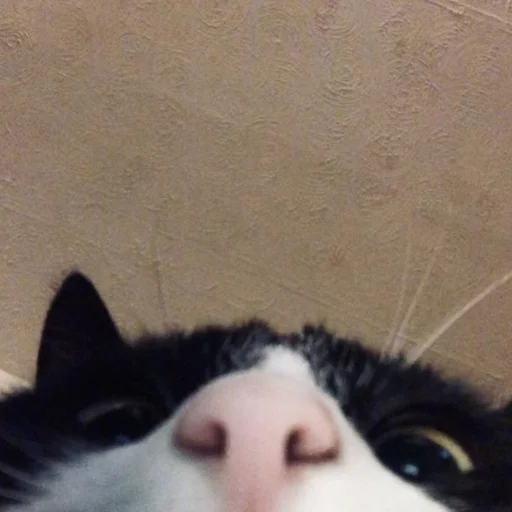 Стикер kisyliki - 1