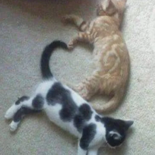 Sticker kisyliki - 1