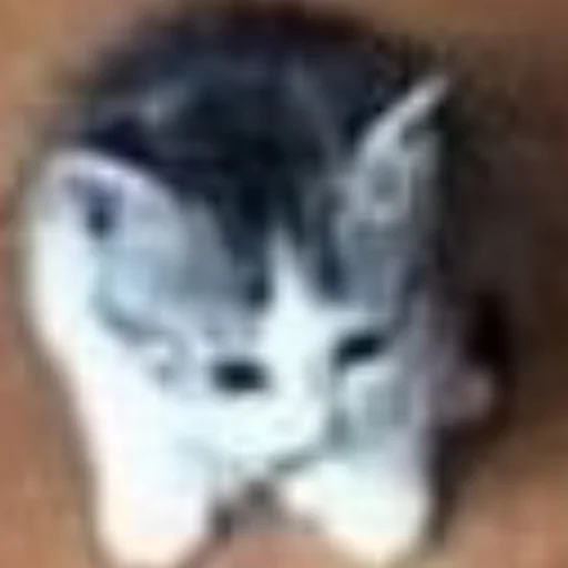 Sticker kisyliki - 1