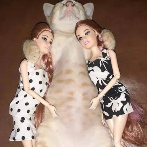 Sticker kisyliki - 1