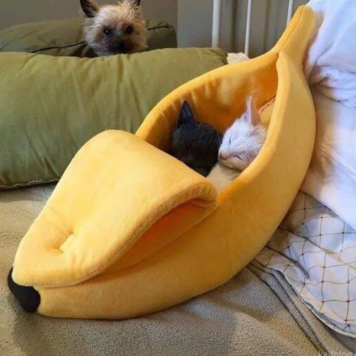 Sticker kisyliki - 1