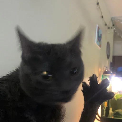 Sticker kisyliki - 1