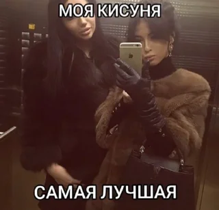 Стикер Кисули - 1