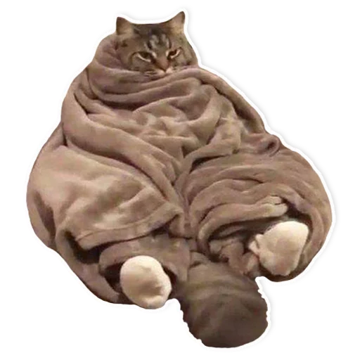 кошка животное искусство