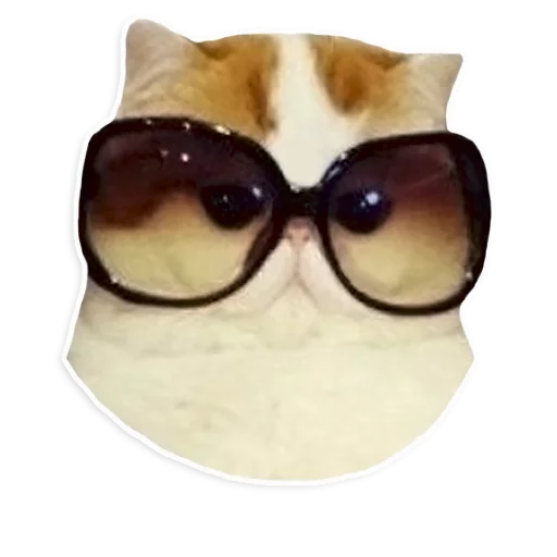 аксессуар Очки солнечные очки