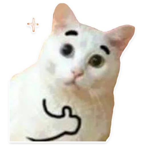 домашняя кошка кошки малого и среднего размера кошка